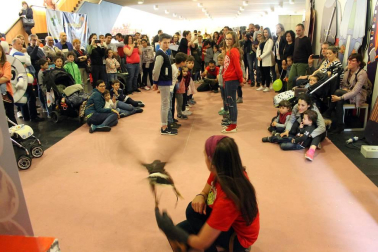 El Palacio de Congresos y Auditorio Baluarte de Pamplona acoge del 12 al 14 de abril una feria con todo tipo de actividades para la familia.