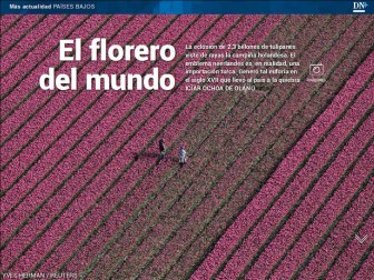 Ya está disponible El Diario DN+, nuestro adelanto para suscriptores, en móvil y tablet. Descárgate la aplicación móvil en http://onelink.to/dnplusmovil y la aplicación Tablet en http://onelink.to/dntablet.