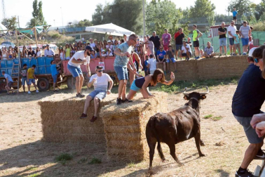 A pocos días de que empiecen sus fiestas patronales, los cirboneros han disfrutado este domingo, 2 de septiembre, de la 'traída' de vacas