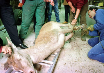 Las imágenes del día de hace 5, 10 y 20 años