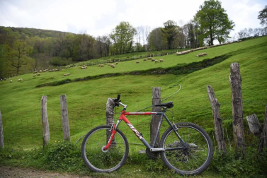 Entre túneles de piedra y vegetación en el Día de las Vías Verdes