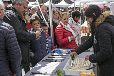 La localidad invitó a degustar 300 kilos de producto preparados en 2.000 bandejas que se agotaron en una hora por las más de 4.000 personas que abarrotaron Dicastillo