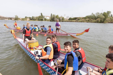 Tudela se sumó este martes, 7 d emayo, a la moda del Dragon Boat, un deporte que se practica con canoas decoradas con cabezas de dragón.