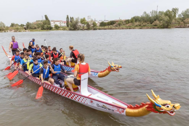 Tudela se sumó este martes, 7 d emayo, a la moda del Dragon Boat, un deporte que se practica con canoas decoradas con cabezas de dragón.