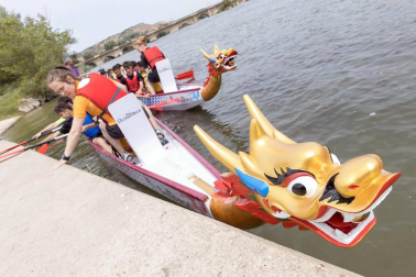 Tudela se sumó este martes, 7 d emayo, a la moda del Dragon Boat, un deporte que se practica con canoas decoradas con cabezas de dragón.