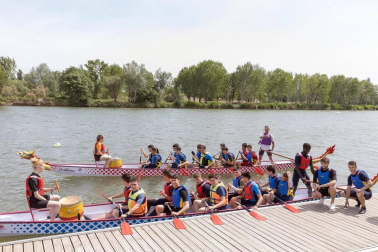 Tudela se sumó este martes, 7 d emayo, a la moda del Dragon Boat, un deporte que se practica con canoas decoradas con cabezas de dragón.
