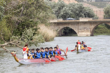 Tudela se sumó este martes, 7 d emayo, a la moda del Dragon Boat, un deporte que se practica con canoas decoradas con cabezas de dragón.