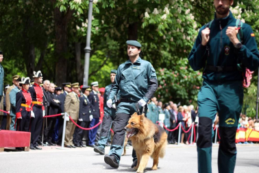 Acto en el parque de la Taconera en Pamplona.