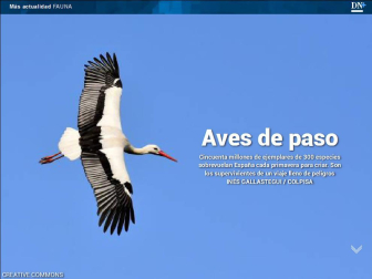Ya está disponible El Diario DN+, nuestro adelanto para suscriptores, en móvil y tablet. Descárgate la aplicación móvil en http://onelink.to/dnplusmovil y la aplicación Tablet en http://onelink.to/dntablet.