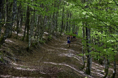 Galería de imágenes de la carrera en la que han participado 125 corredores en la carrera corta, sobre 13 kms, y 250 en el recorrido largo de 23 kms.