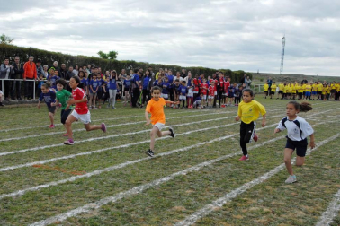 El viernes 11 de mayo Figarol acogió las XLVIII olimpiadas escolares en las que, además del colegio local, participaron los de Caparroso, Rada, Mélida, Santacara, Carcastillo y Murillo el Fruto. Una jornada deportiva organizada desde el colegio público Nuestra Señora de Ujué de Figarol, que contó con el apoyo de numerosos colectivos locales, como la apyma, el concejo, las peñas, la asociación de mujeres, el club de jubilados y la cooperativa agrícola AN.