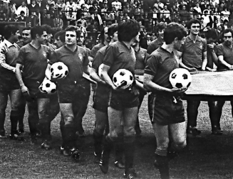 Octavo ascenso de Osasuna