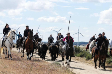 El sábado 18 de mayo se celebró en Caparroso un día dedicado a los usos y costumbres de antaño. Por la mañana, un encierro trashumante y una degustación de espárragos fueron los actos principales. Tras la comida y el concurso de menestras, la tarde dio paso a diferentes actividades, como concierto, teatro, magia o danzas.