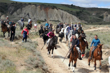El sábado 18 de mayo se celebró en Caparroso un día dedicado a los usos y costumbres de antaño. Por la mañana, un encierro trashumante y una degustación de espárragos fueron los actos principales. Tras la comida y el concurso de menestras, la tarde dio paso a diferentes actividades, como concierto, teatro, magia o danzas.