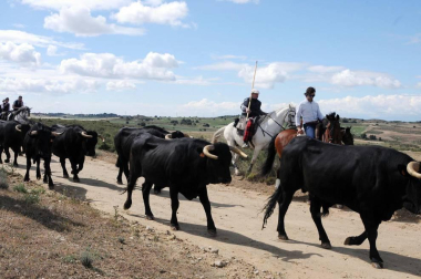 El sábado 18 de mayo se celebró en Caparroso un día dedicado a los usos y costumbres de antaño. Por la mañana, un encierro trashumante y una degustación de espárragos fueron los actos principales. Tras la comida y el concurso de menestras, la tarde dio paso a diferentes actividades, como concierto, teatro, magia o danzas.