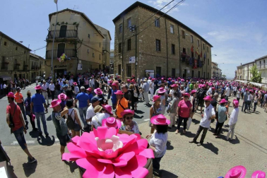La conquista del vino rosado en San Martín de Unx
