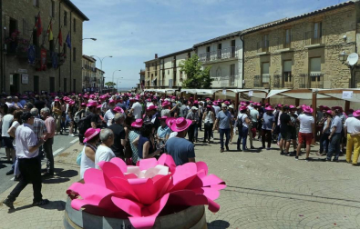 La conquista del vino rosado en San Martín de Unx
