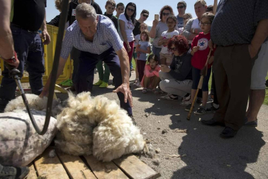 Fotos del día de la cuajada en la Ulzama