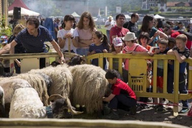 Fotos del día de la cuajada en la Ulzama