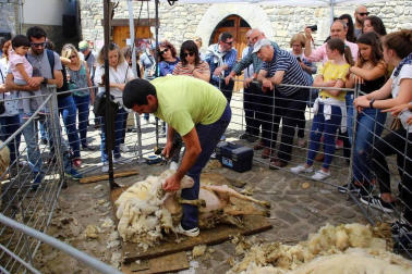 Fotos del día del queso del Roncal