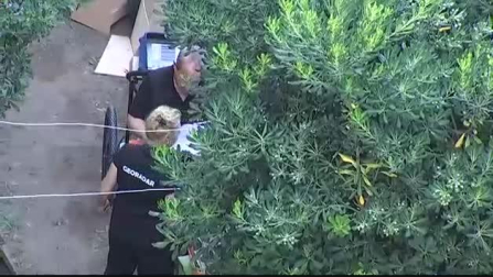 Los Mossos d'Esquadra encuentran un cadáver en casa del detenido en Terrassa