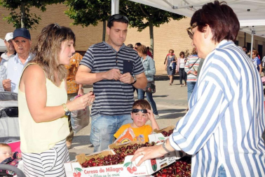 El domingo 16 de junio, Milagro volvió a convertirse en la capital de la cereza con la puesta en marcha de la vigésima edición del día dedicado a esta exquisita fruta. Alrededor de 15.000 personas acudieron a la cita, en la que además de los puestos de venta instalados en la calle se pudo disfrutar de variadas actividades como concurso de postres, conciertos, actuaciones o paseos en calesa hasta los huertos de cereza.