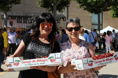 El domingo 16 de junio, Milagro volvió a convertirse en la capital de la cereza con la puesta en marcha de la vigésima edición del día dedicado a esta exquisita fruta. Alrededor de 15.000 personas acudieron a la cita, en la que además de los puestos de venta instalados en la calle se pudo disfrutar de variadas actividades como concurso de postres, conciertos, actuaciones o paseos en calesa hasta los huertos de cereza.