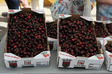 El domingo 16 de junio, Milagro volvió a convertirse en la capital de la cereza con la puesta en marcha de la vigésima edición del día dedicado a esta exquisita fruta. Alrededor de 15.000 personas acudieron a la cita, en la que además de los puestos de venta instalados en la calle se pudo disfrutar de variadas actividades como concurso de postres, conciertos, actuaciones o paseos en calesa hasta los huertos de cereza.
