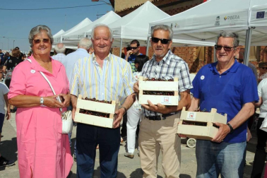 El domingo 16 de junio, Milagro volvió a convertirse en la capital de la cereza con la puesta en marcha de la vigésima edición del día dedicado a esta exquisita fruta. Alrededor de 15.000 personas acudieron a la cita, en la que además de los puestos de venta instalados en la calle se pudo disfrutar de variadas actividades como concurso de postres, conciertos, actuaciones o paseos en calesa hasta los huertos de cereza.