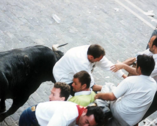 Un solo 'Cebada', de nombre 'Cepillaro, llevó a los hospitales a siete corredores, dos de ellos heridos graves