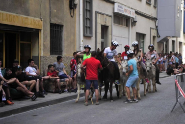 Fotos de la Undécima carrera sobre burros de Tafalla