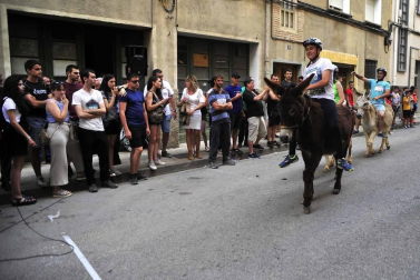 Fotos de la Undécima carrera sobre burros de Tafalla