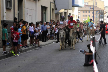 Fotos de la Undécima carrera sobre burros de Tafalla