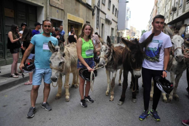 Fotos de la Undécima carrera sobre burros de Tafalla