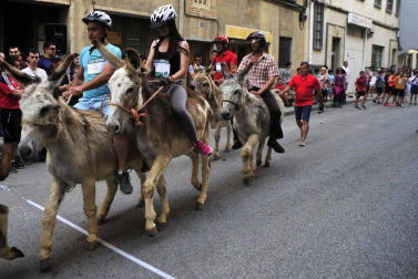 Fotos de la Undécima carrera sobre burros de Tafalla
