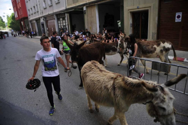 Fotos de la Undécima carrera sobre burros de Tafalla
