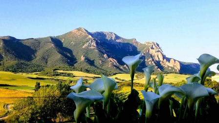 El verano, retratados por los lectores de Diario de Navarra