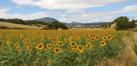 El verano, retratados por los lectores de Diario de Navarra
