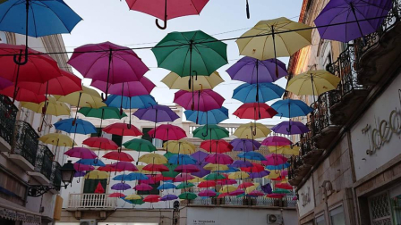 El verano, retratados por los lectores de Diario de Navarra