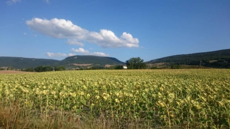 El verano, retratados por los lectores de Diario de Navarra