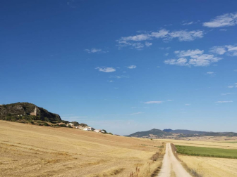 El verano, retratados por los lectores de Diario de Navarra