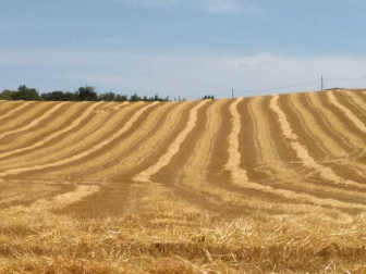 El verano, retratados por los lectores de Diario de Navarra