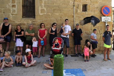 Los 390 que se registraron disuadieron a visitantes y locales de acudir en el segundo día de fiesta medieval