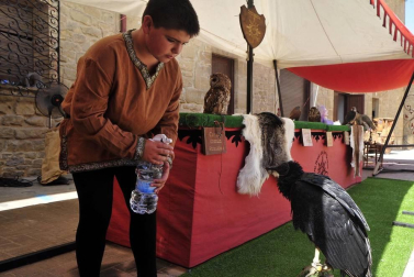 Los 390 que se registraron disuadieron a visitantes y locales de acudir en el segundo día de fiesta medieval