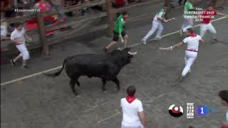 Un toro rezagado siembra el pánico en la entrada al callejón