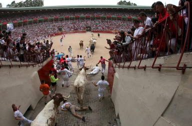 Imágenes del primer encierro de los sanfermines 2019 protagonizado por toros de Puerto de San Lorenzo.