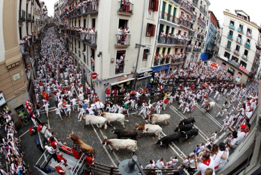 Imágenes del primer encierro de los sanfermines 2019 protagonizado por toros de Puerto de San Lorenzo.