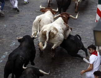 Imágenes del primer encierro de los sanfermines 2019 protagonizado por toros de Puerto de San Lorenzo.