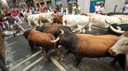 Imágenes del segundo encierro de los sanfermines 2019 protagonizado por toros de Cebada Gago.