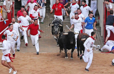 Imágenes del segundo encierro de los sanfermines 2019 protagonizado por toros de Cebada Gago.